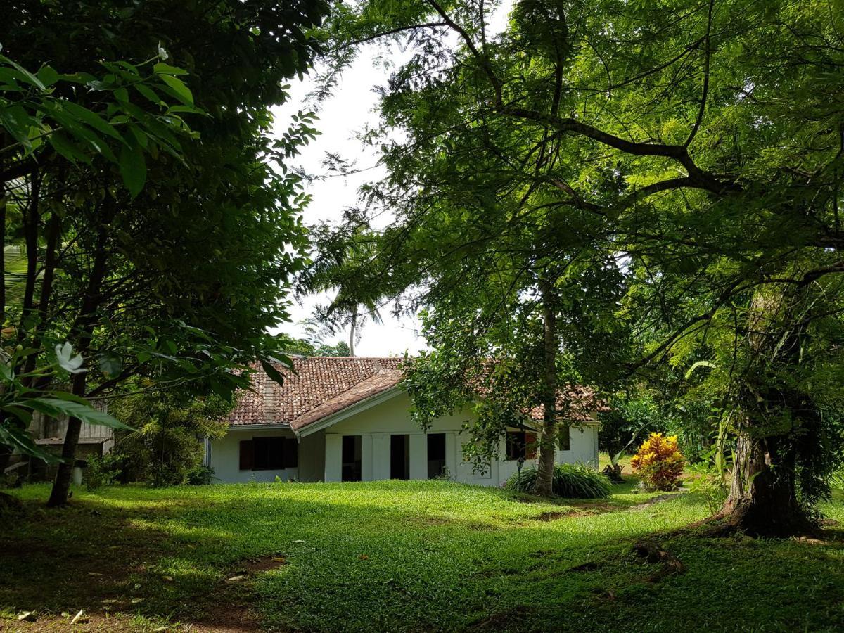 Chitra Ayurveda Hotel Bentota Exterior photo