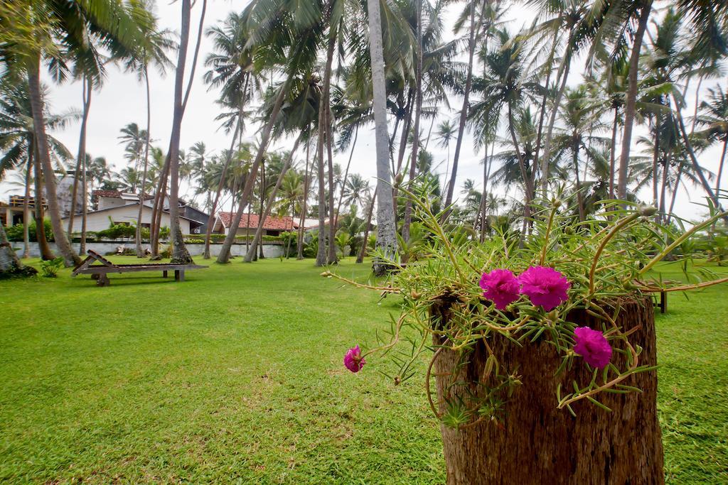 Chitra Ayurveda Hotel Bentota Exterior photo